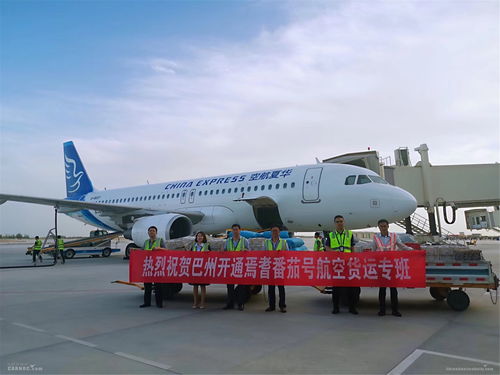 庫(kù)爾勒機(jī)場(chǎng)年旅客吞吐量突破220萬(wàn)人次，空運(yùn)與道路貨運(yùn)協(xié)同發(fā)展助推區(qū)域經(jīng)濟(jì)